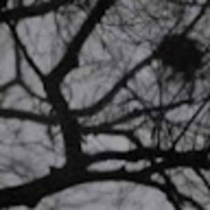 Meet your Posher, Avery